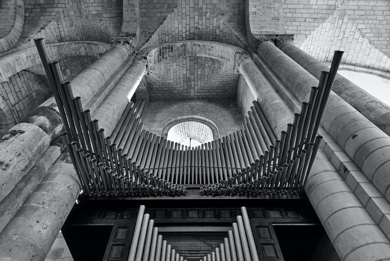 orgel kopen